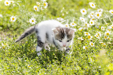 Similar image 6646353