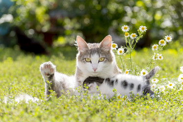 Similar image 6646361