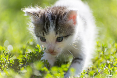 Similar image 6646362