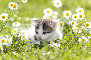 Similar image 6646365