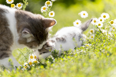 Similar image 6646366