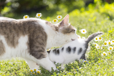 Similar image 6646367