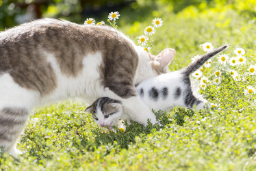 Similar image 6646368