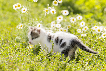 Similar image 6646370