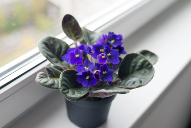 Similar image 6646399