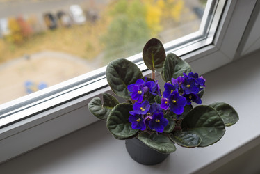 Similar image 6646403