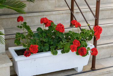 Similar image 6646472