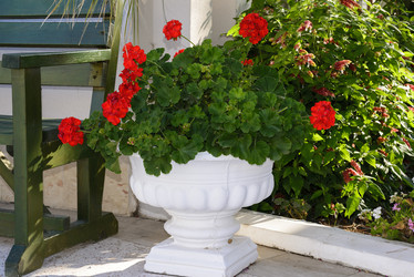 Similar image 6646474