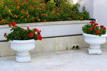 Similar image 6646475