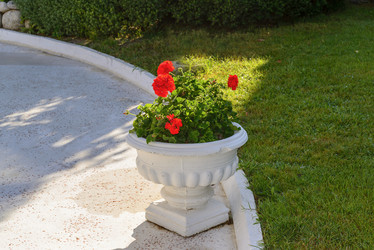 Similar image 6646478