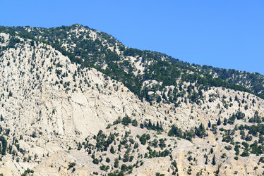 Similar image 6646488