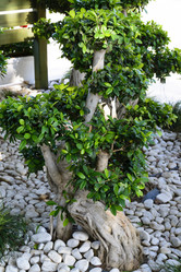 Similar image 6646489