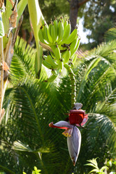 Similar image 6646498