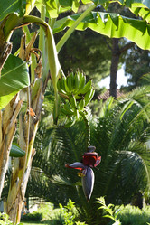 Similar image 6646499