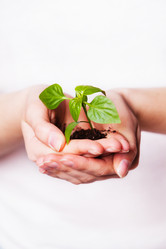 Similar image 6646561