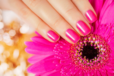 Similar image 6646889