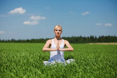 Similar image 6646941