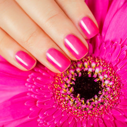 Similar image 6646965