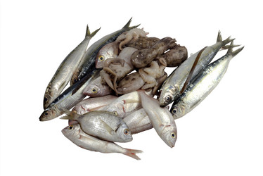 Similar image 6647133