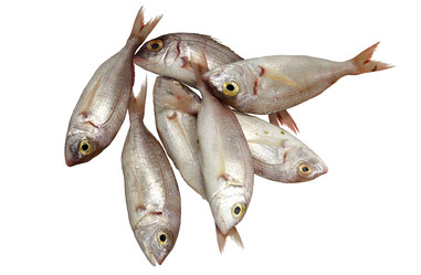 Similar image 6647134