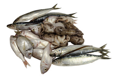 Similar image 6647135