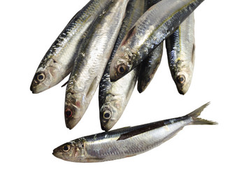 Similar image 6647136