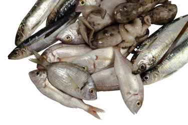 Similar image 6647137