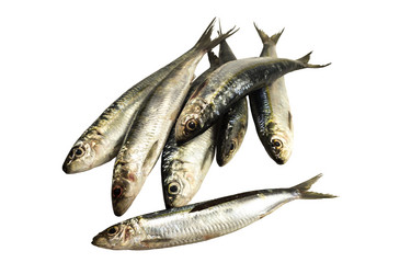 Similar image 6647138