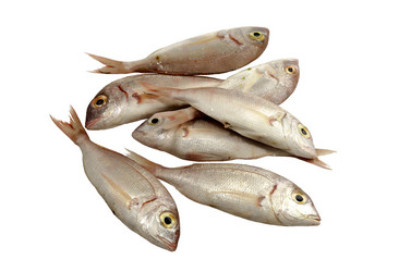 Similar image 6647139