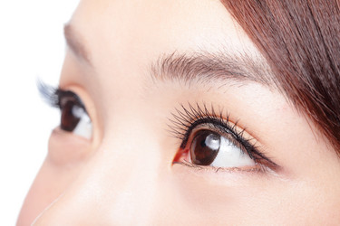 Similar image 6647155