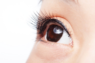 Similar image 6647156