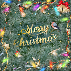 Similar image 6647478