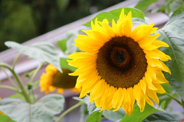 Similar image 6647536