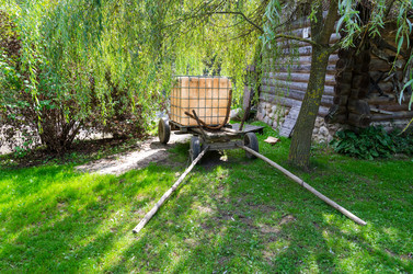 Similar image 6647542