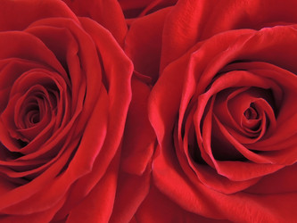 Similar image 6647543