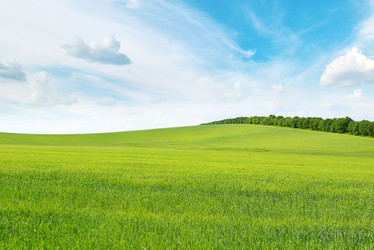 Similar image 6647567