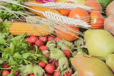 Similar image 6647679