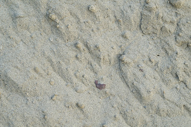 Similar image 6647694