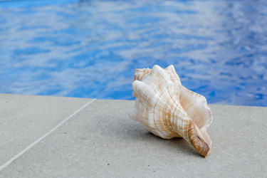 Similar image 6647701