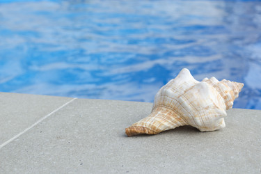 Similar image 6647733