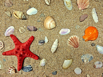 Similar image 6647872