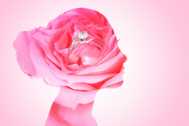 Similar image 6648085