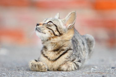 Similar image 6648125