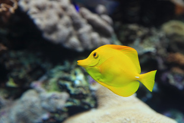 Similar image 6648128