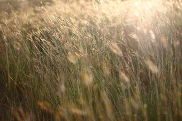 Similar image 6648134