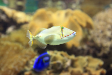 Similar image 6648135