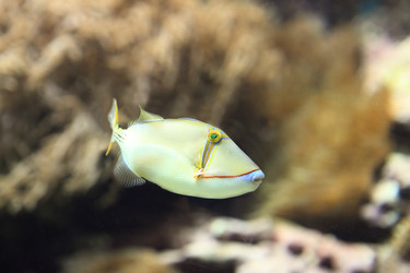 Similar image 6648136