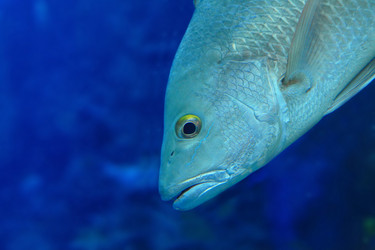 Similar image 6648143