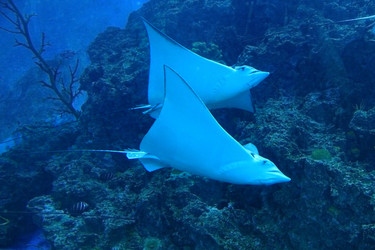 Similar image 6648145