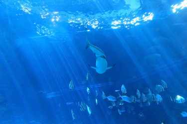 Similar image 6648147